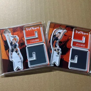 하이큐!! 아크릴 'X' 피규어 컬렉션 히나타 쇼요 카게야마 토비오