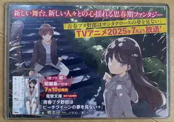 청춘 돼지는 바른 날개를 입지 않아 판촉물