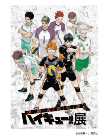 [ 미개봉 ] B2 포스터 키 비주얼 센다이 하이큐!! 원화전