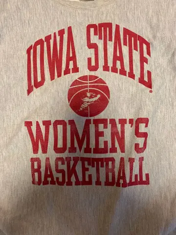 90s 챔피온 4단 프린트 USA제 맨투맨