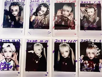 자월 렌 폴라로이드