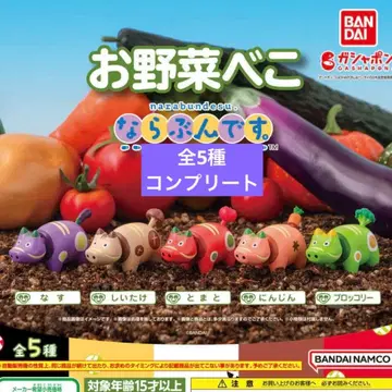 총 5종 야채 베코 나란데스