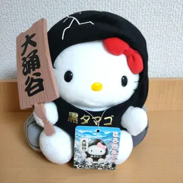 지역 한정 헬로키티 오와쿠다니 블랙 타마고 봉제 인형 레어