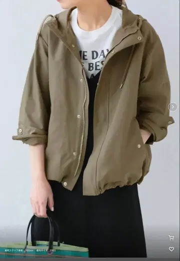 저널 스탠다드 리룸 마운틴 후드티