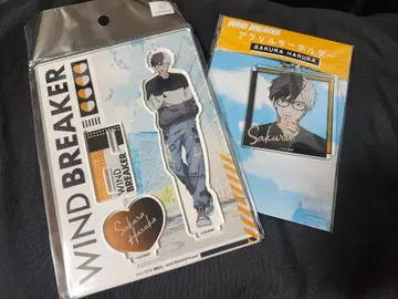 WIND BREAKER 사쿠라 하루카 아크릴 스탠드