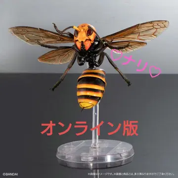 온라인판 말벌 생물대도감 어드밴스 말벌 02 곤충