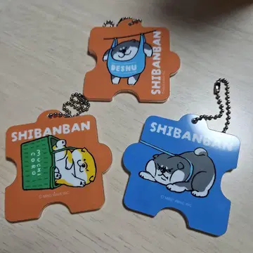 SHIBANBAN 3개 세트