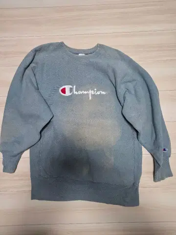 Champion Reverse Weave 레어 컬러 나이스 페이드 L