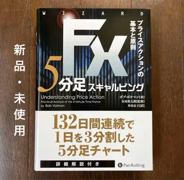 FX 5분봉 스캘핑 프라이스 액션의 기본과 원칙 밥 볼먼