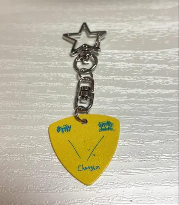 STAYZONE 창빈 피크