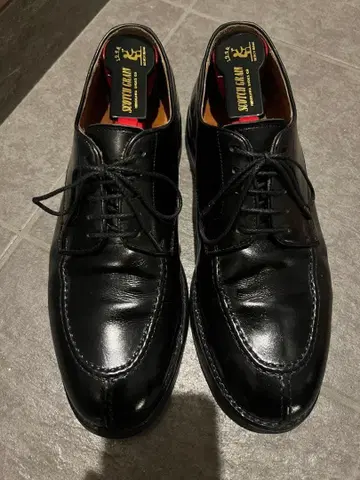 berwick U칩 사이즈 6