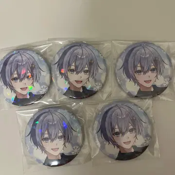 백설 레이드 캔뱃지 5개