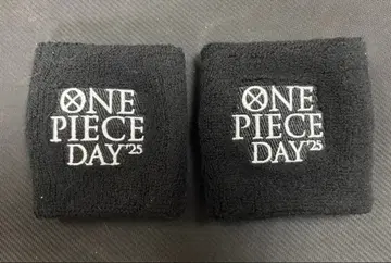 리스트 밴드 원피스 DAY 2025