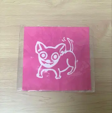 영희 SIAM SHADE 촌타 안경닦이