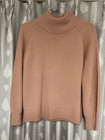 ANAYI 터틀넥 리브 니트