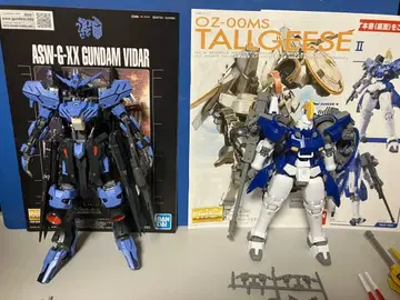 MG 1/100 건담 비다르 MG 1/100 톨기스 II
