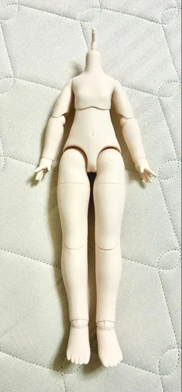 커스텀 인형 바디 헤드 1/4