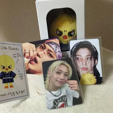 Straykids KARMA SKZOO 포가리셋