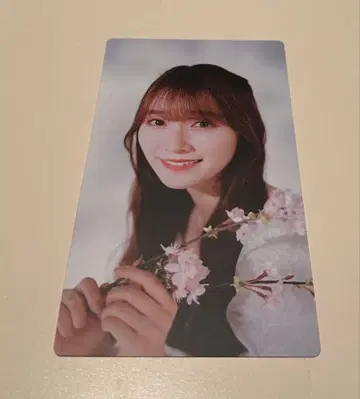 사쿠라자카46 사쿠콜렉션 카드 모리야 레이나