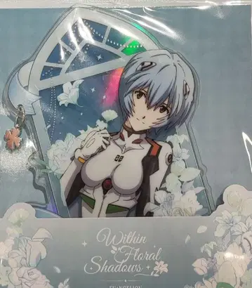 에바 중국 화간영 아크릴 스탠드 레이