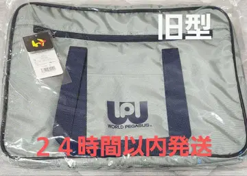 월드 페가수스 그레이