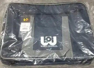 월드 페가수스 네이비 컬러