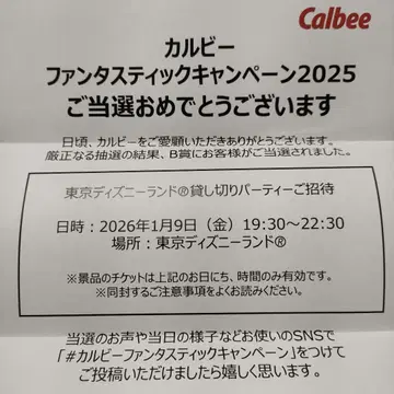 도쿄 디즈니랜드 대관 2명