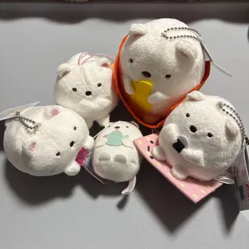 스미코구라시 시로쿠마 마스코트