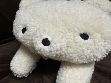 모찌곰 봉제 인형 택 포함