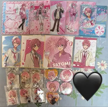스토푸리 사토미 군 굿즈 세트