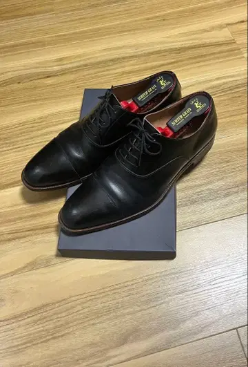 SCOTCH GRAIN 블랙 가죽 신발 26 슈키퍼 포함