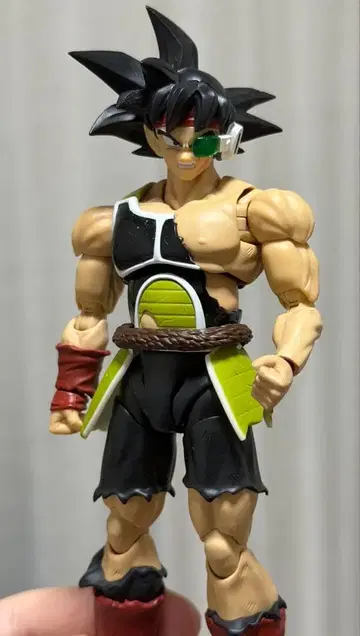 초레어 S.H.Figuarts 버독 커스텀품