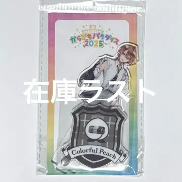 컬러풀 피치 아크릴 스탠드 우리