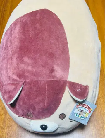 고로네코 서밋 봉제 인형 아오키