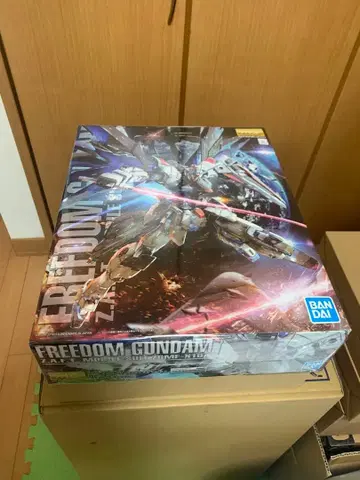 mg 프리덤 건담 Ver2.0