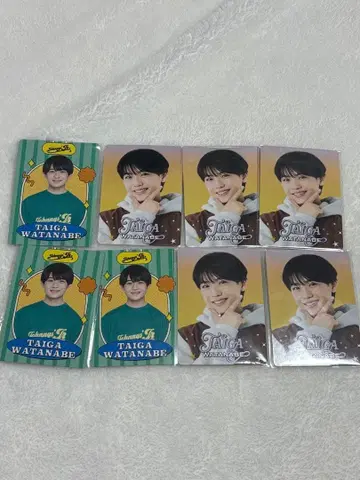 와타나베 타이 가 프로필 카드 프로카 8장 세트