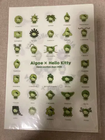 만박2025 모키티 헬로키티 클리어 파일