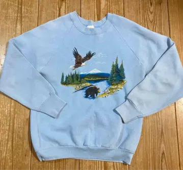 FRUIT OF THE LOOM 90s 맨투맨 트레이닝복 M 사이즈