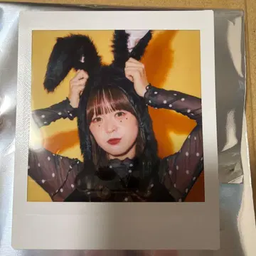 엠스플래쉬 시크릿 폴라로이드 할로윈