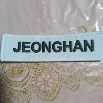 SEVENTEEN 정한 와펜 라이브 구매품 정품