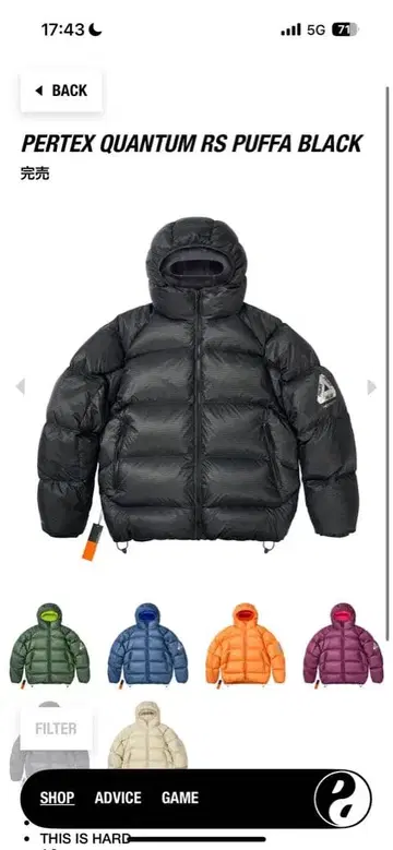 PALACE Pertex Quantum RS 퍼퍼 블랙 L 완판템