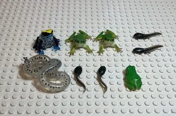 네이처 테크니컬러 개구리 피규어 묶음 판매