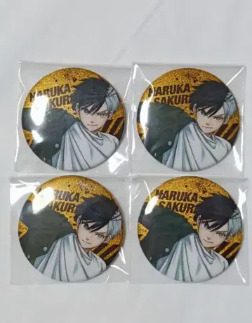 WIND BREAKER 윈브레 그리캔 사쿠라 하루카