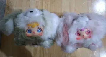 samuel dng 2체 세트