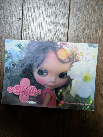 브라이스 엽서 북