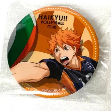 하이큐 리시브 캔뱃지 히나타 쇼요