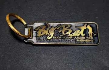 야자와 에이요시 키링 1991