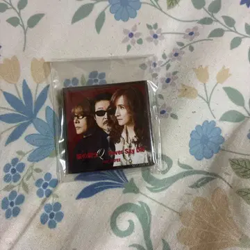 강철의 기사 Q/Never Say Die 배지