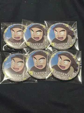 모로이즈미 손나몬 캔뱃지 6개 세트
