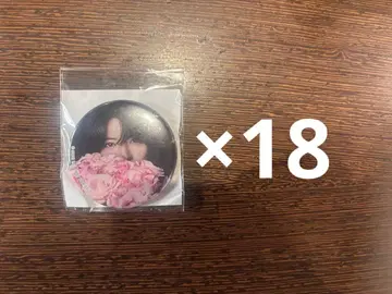 스토푸리 사토미 실사 캔뱃지 특전 S